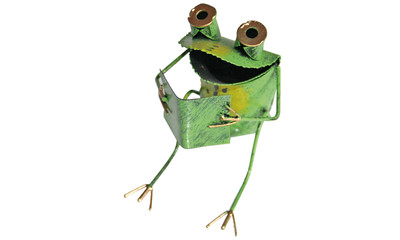Frog Fridolin