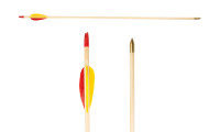 Sport arrow with brass arrowhead 80 cm