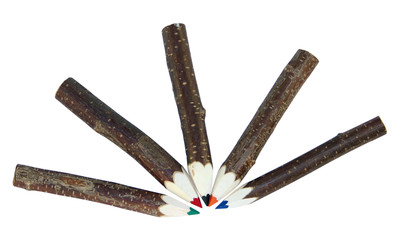 Branch pens, set of 5