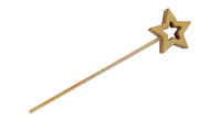 Fary stick star